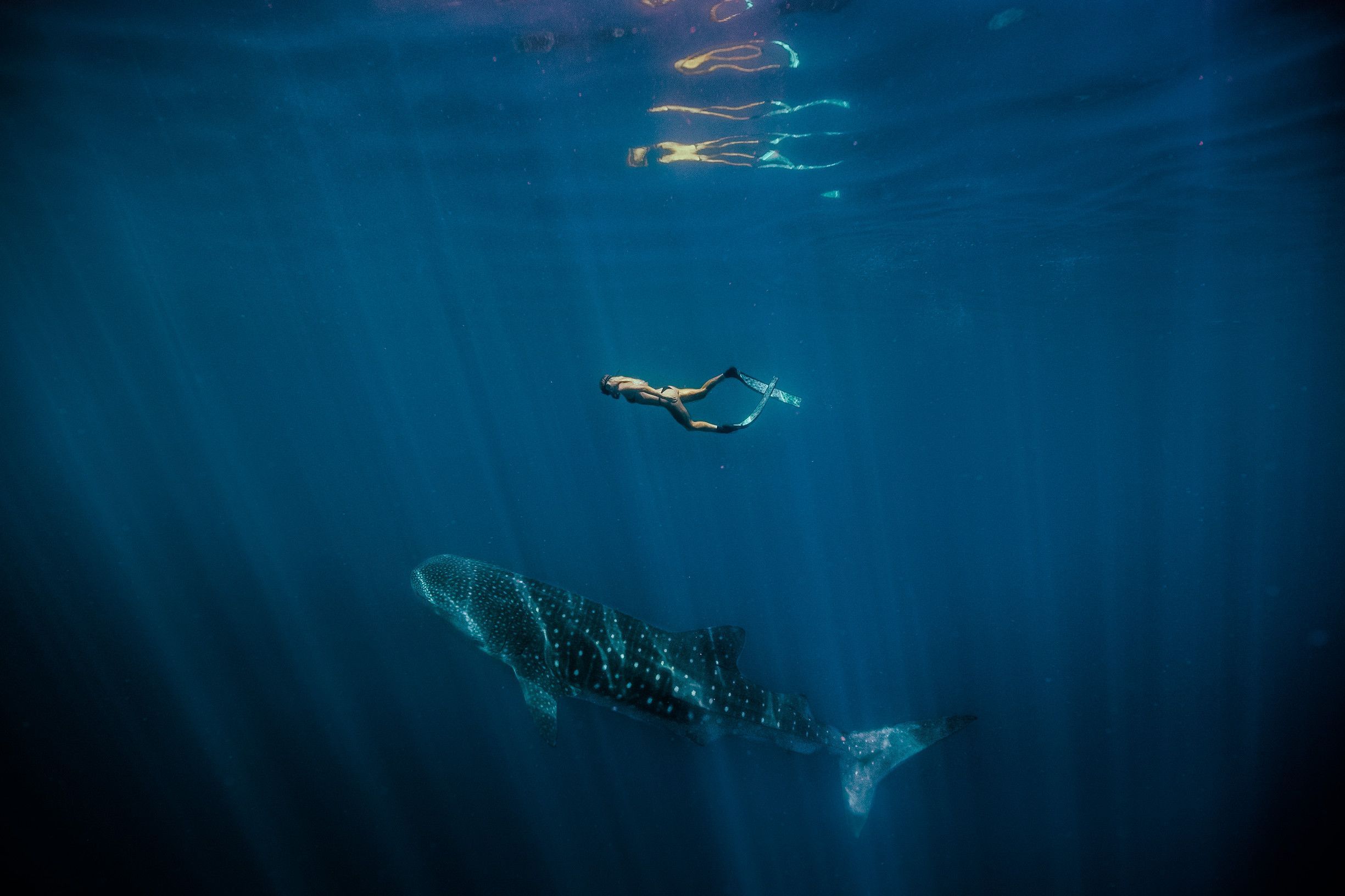 Ningaloo Reef and the Coral Coast