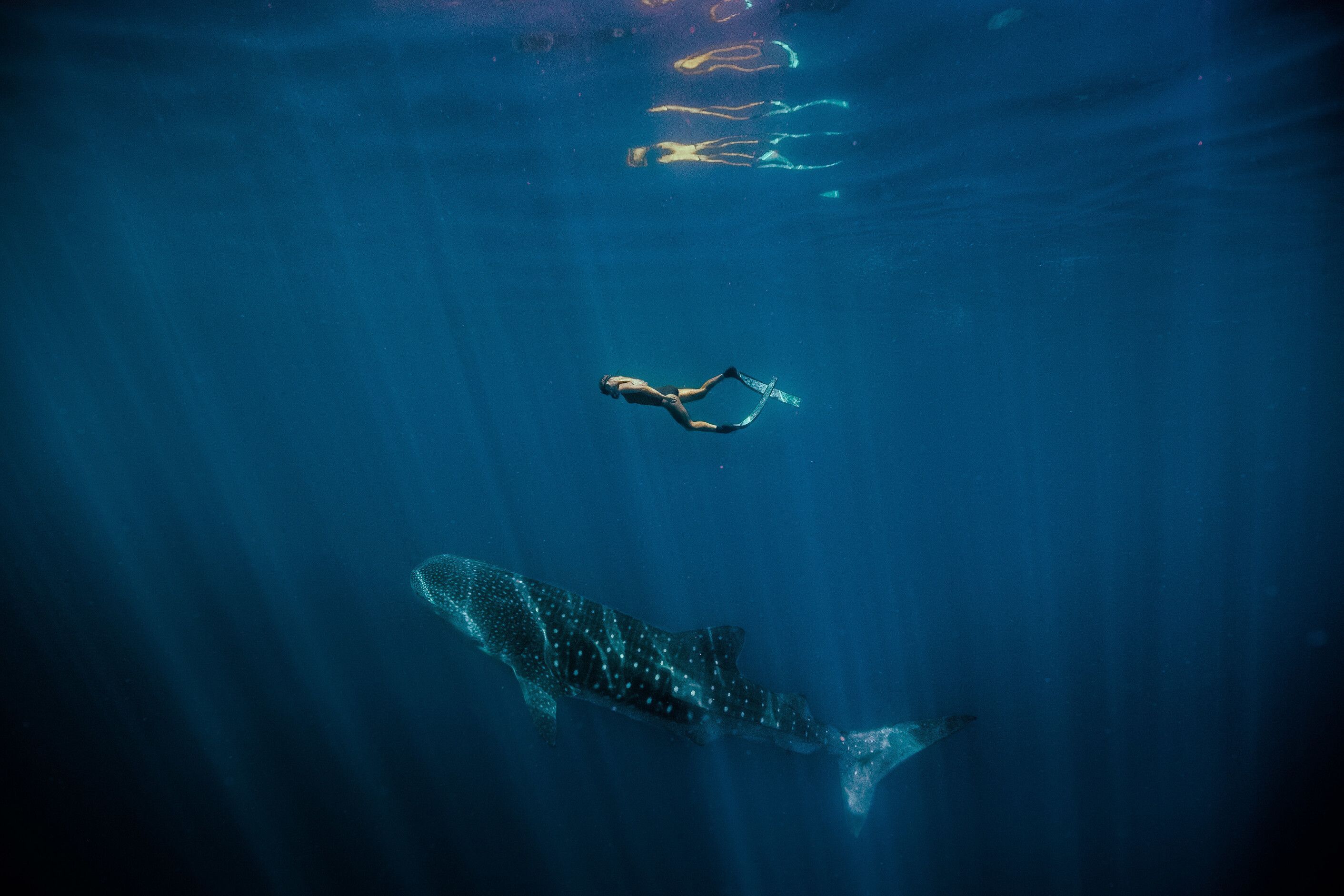 Snorkla rakt från din campingplats: En barfota-guide till Coral Coast Highway och Ningaloo Reef