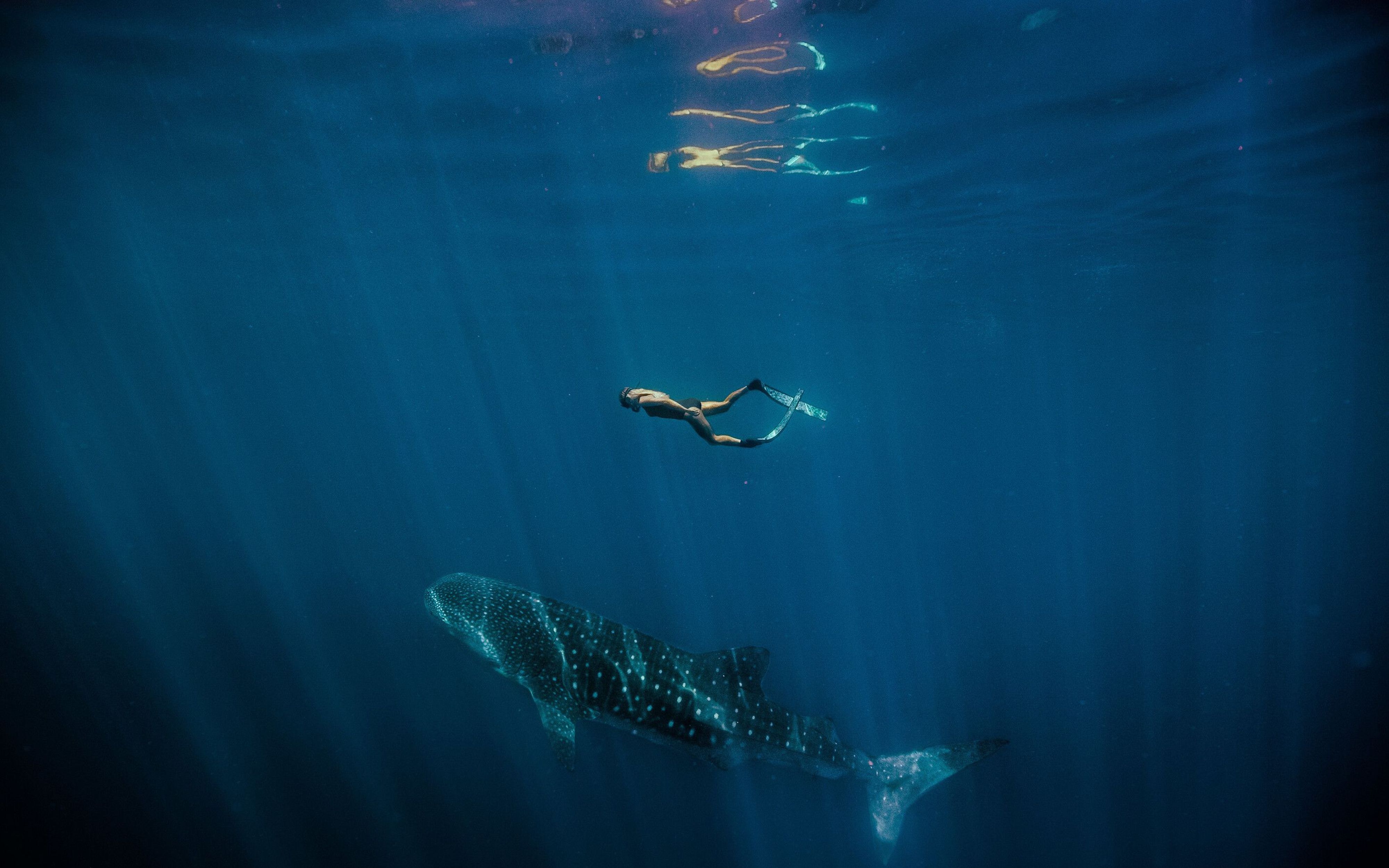 Snorkla rakt från din campingplats: En barfota-guide till Coral Coast Highway och Ningaloo Reef