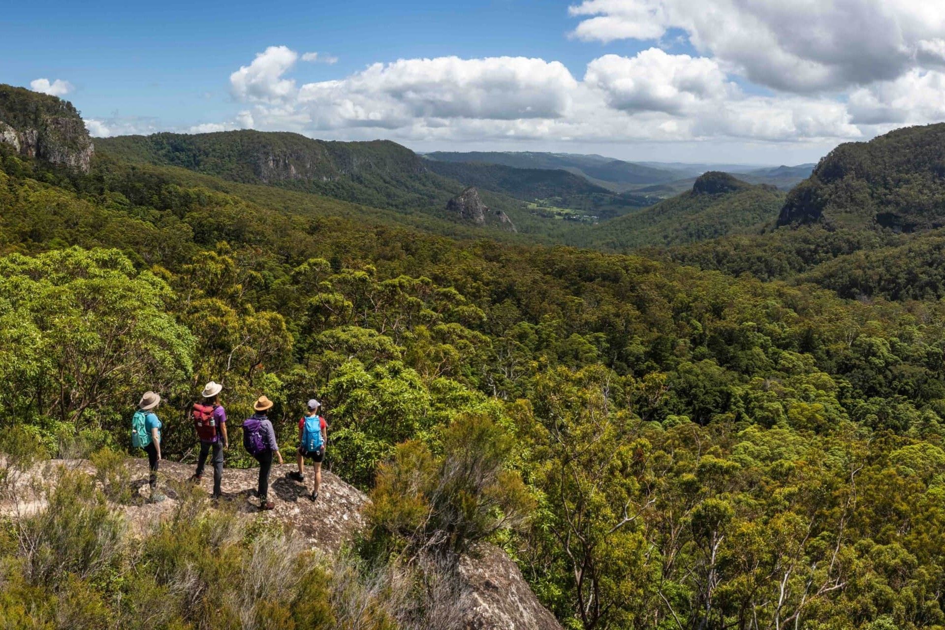 Pět nejlepších věcí, které můžete dělat v Scenic Rim