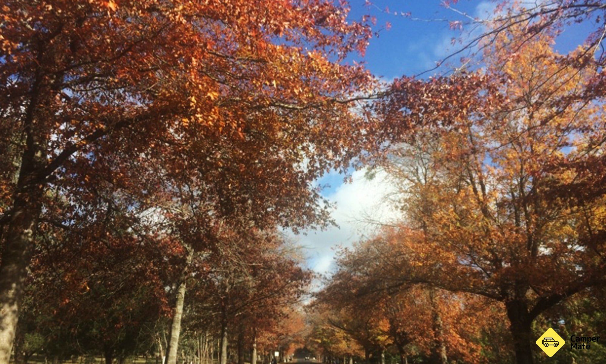 5 Easy Autumn Getaways from Melbourne