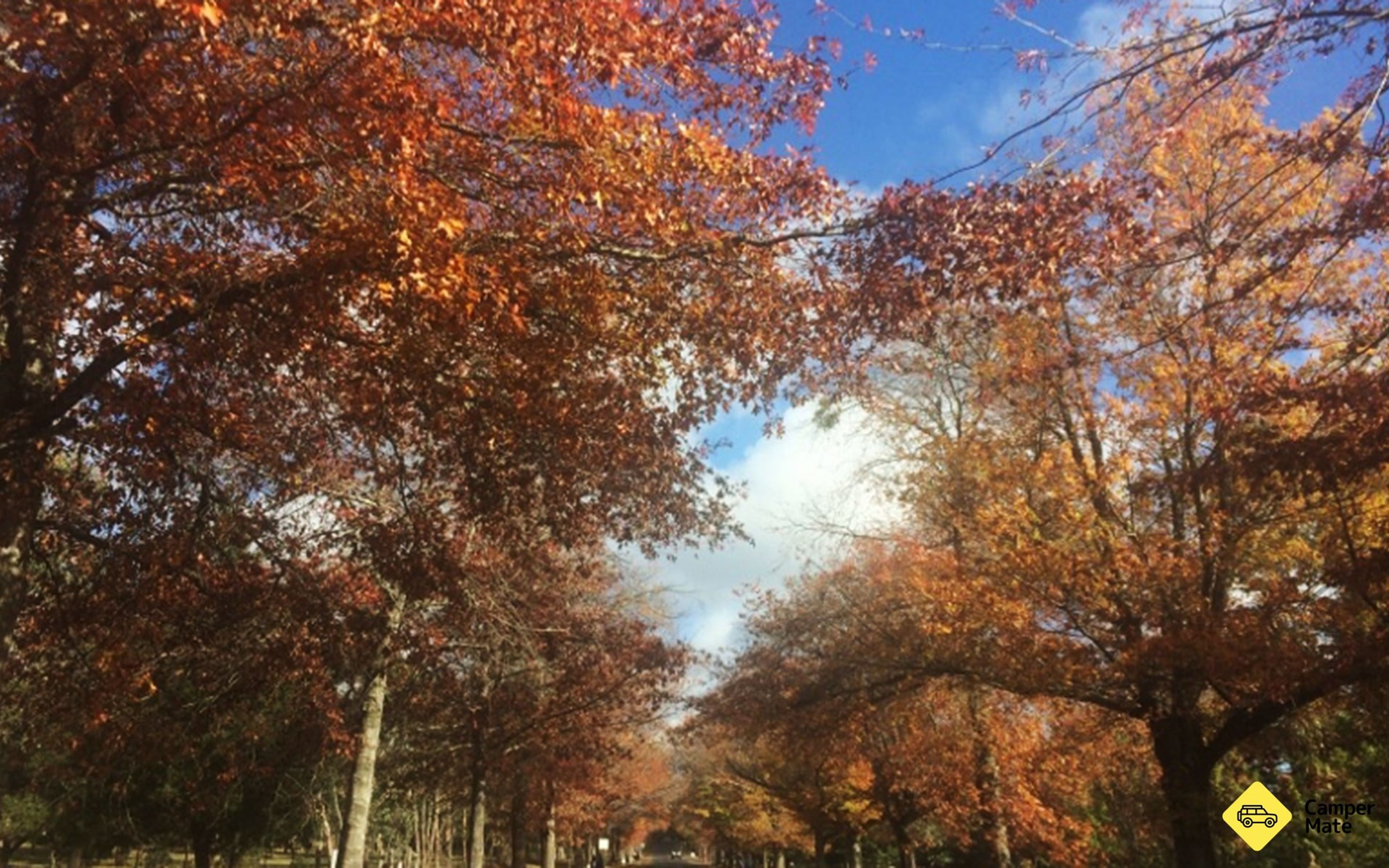 5 snadných podzimních výletů z Melbourne