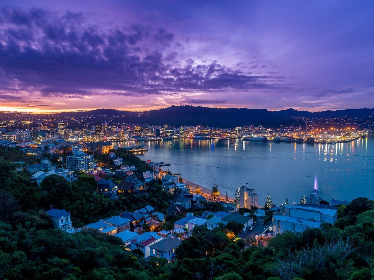 Explorarea Wellington: Un itinerar de 3 zile pentru oraș, coastă și cultură