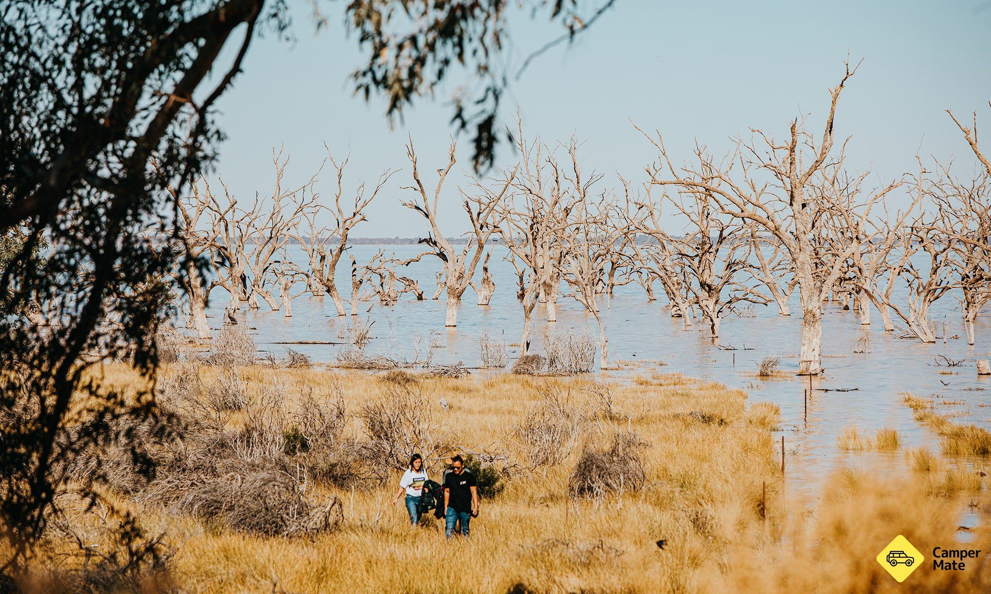Ontdek een bos van verdronken bomen bij Menindee Lakes