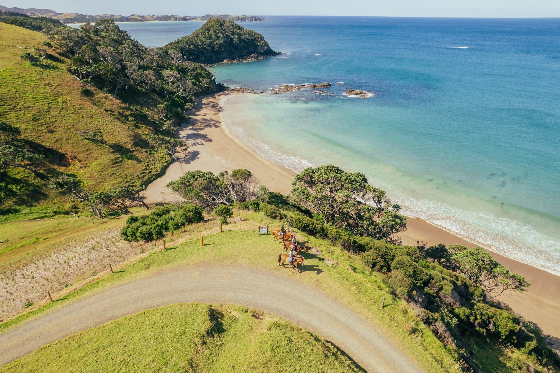 Campsites & Cuisine: The Ultimate Upper North Island Road Trip Guide
