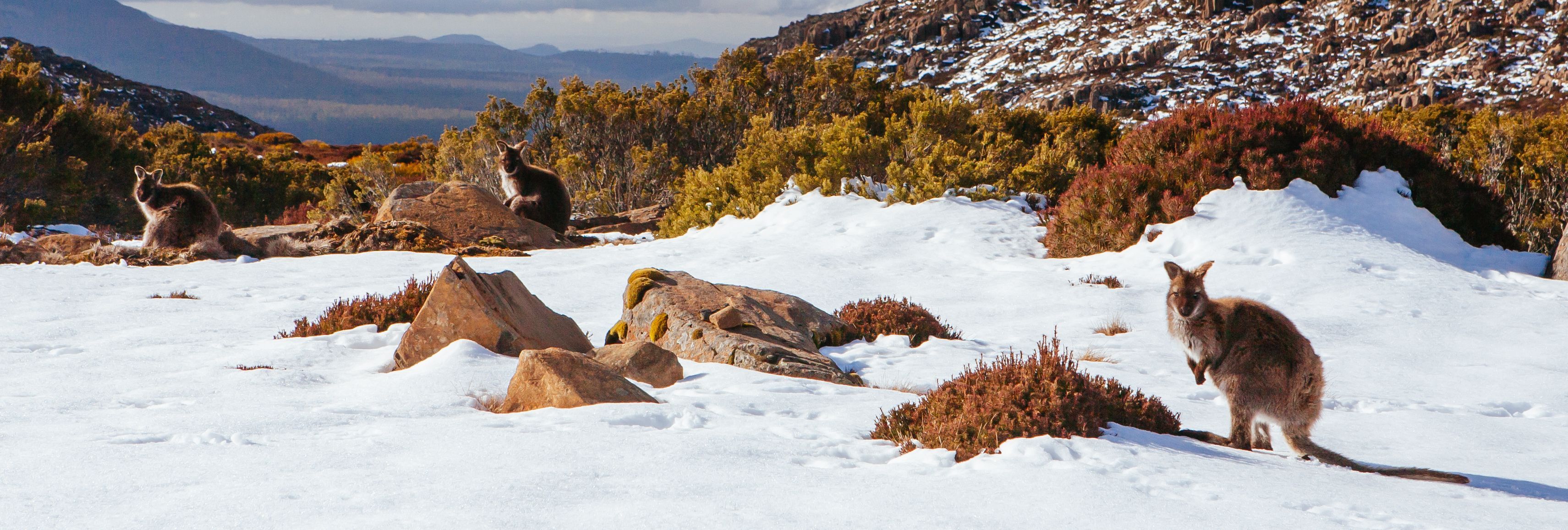 Snow Camping: Why We Love It