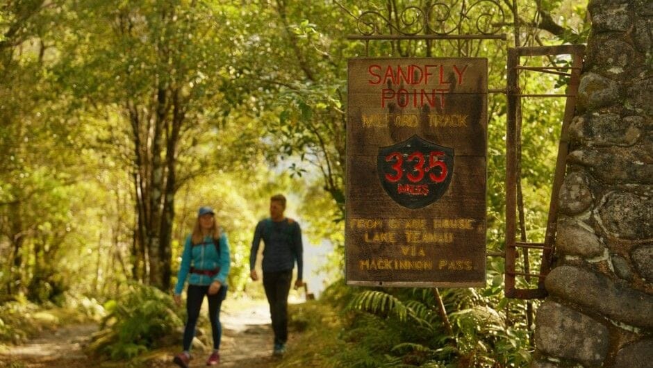 Buzz Off: Your South Island Mozzy and Sandfly Survival Guide