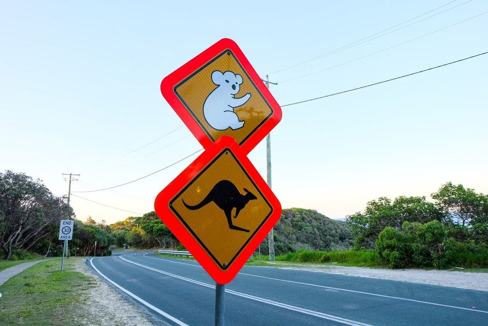 11 kempingů v Queenslandu s nezapomenutelnými setkáními s divokou zvěří