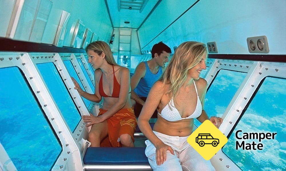 Great Barrier Reef Cruises, Snorkelling and Diving - Image 3