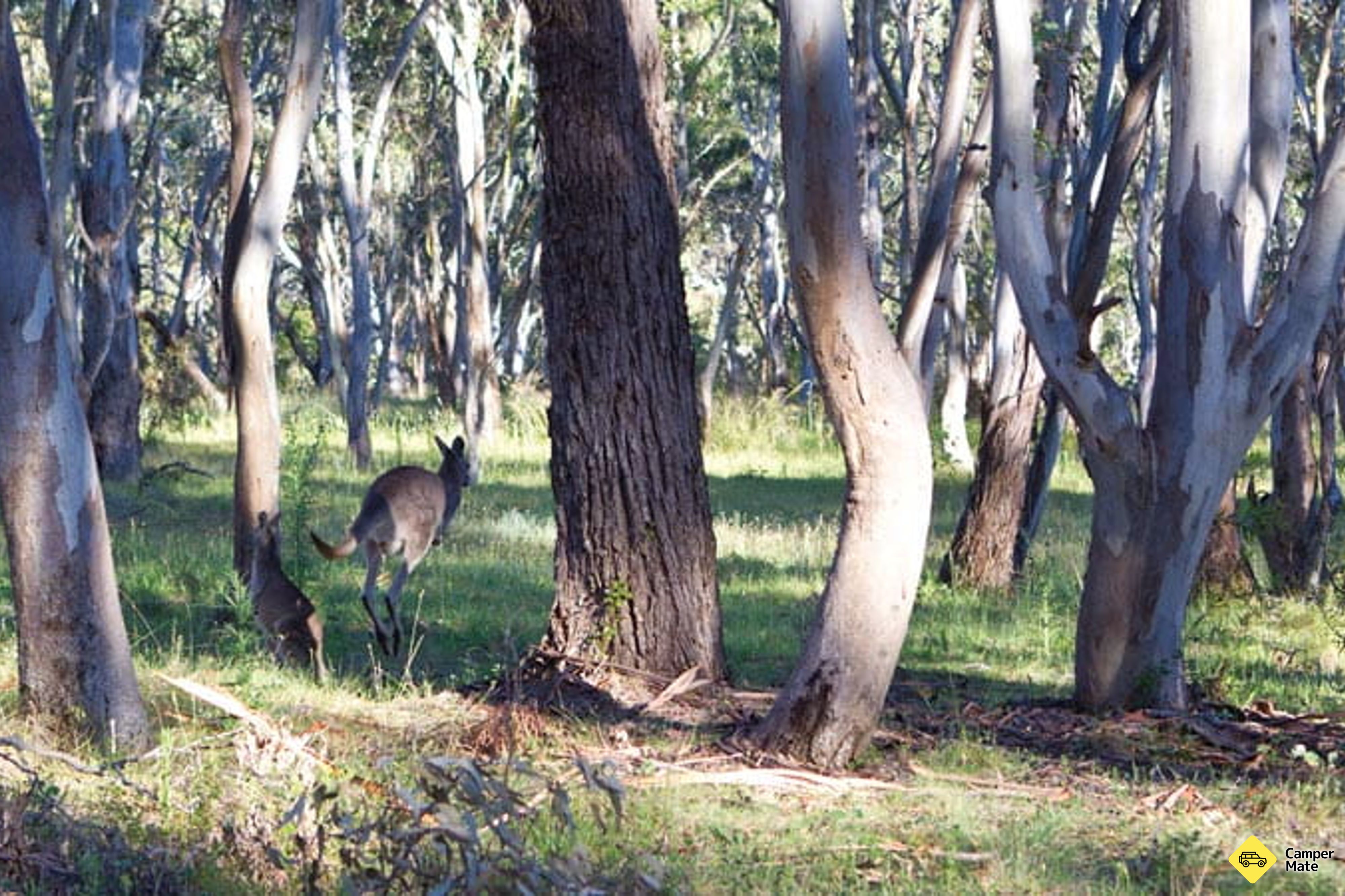 Apsley Falls Campground - Image 2