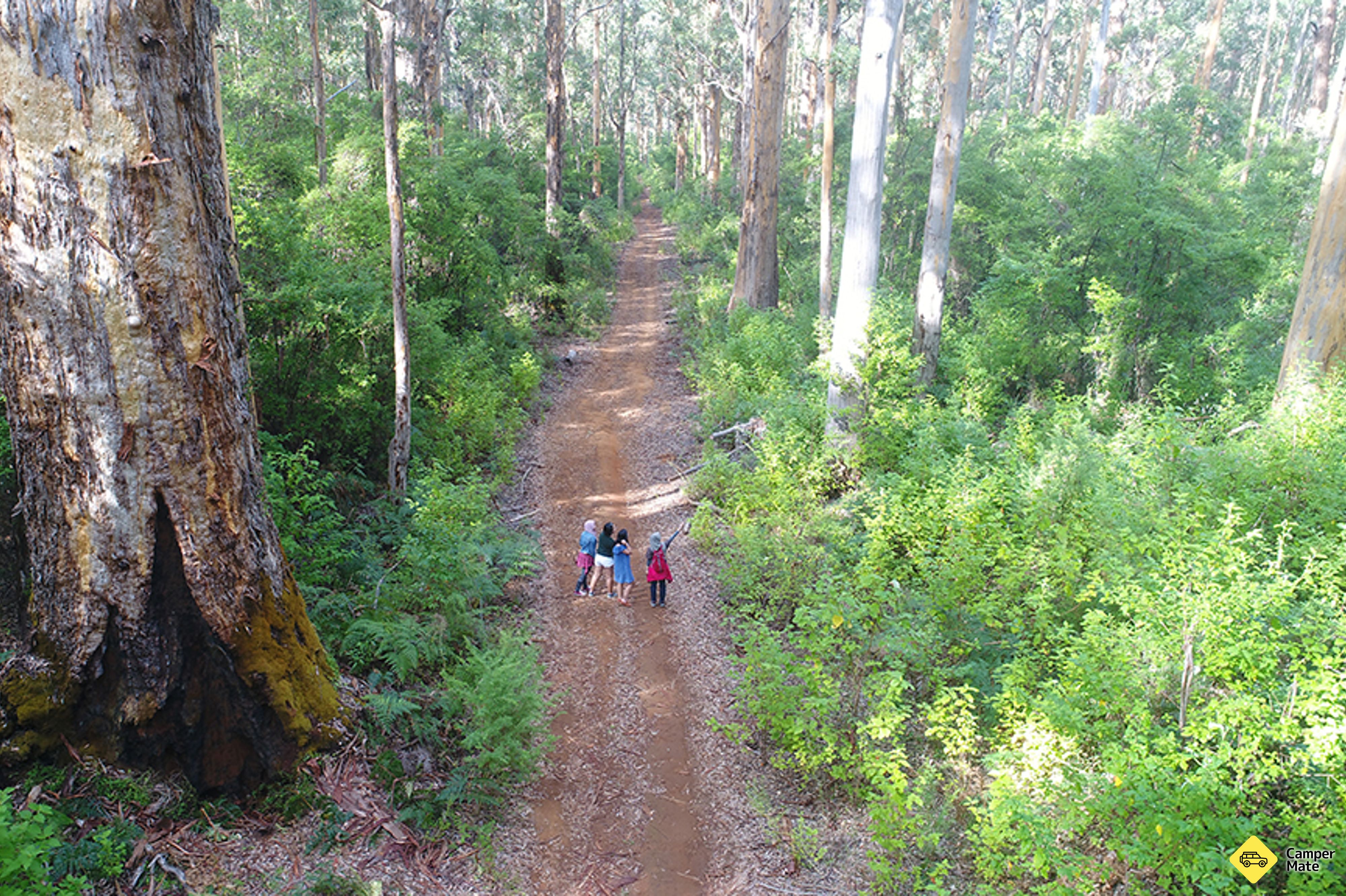 Pemberton Beach & Forest Eco Adventure yakınlarında yapılacak şeyler - Image 3