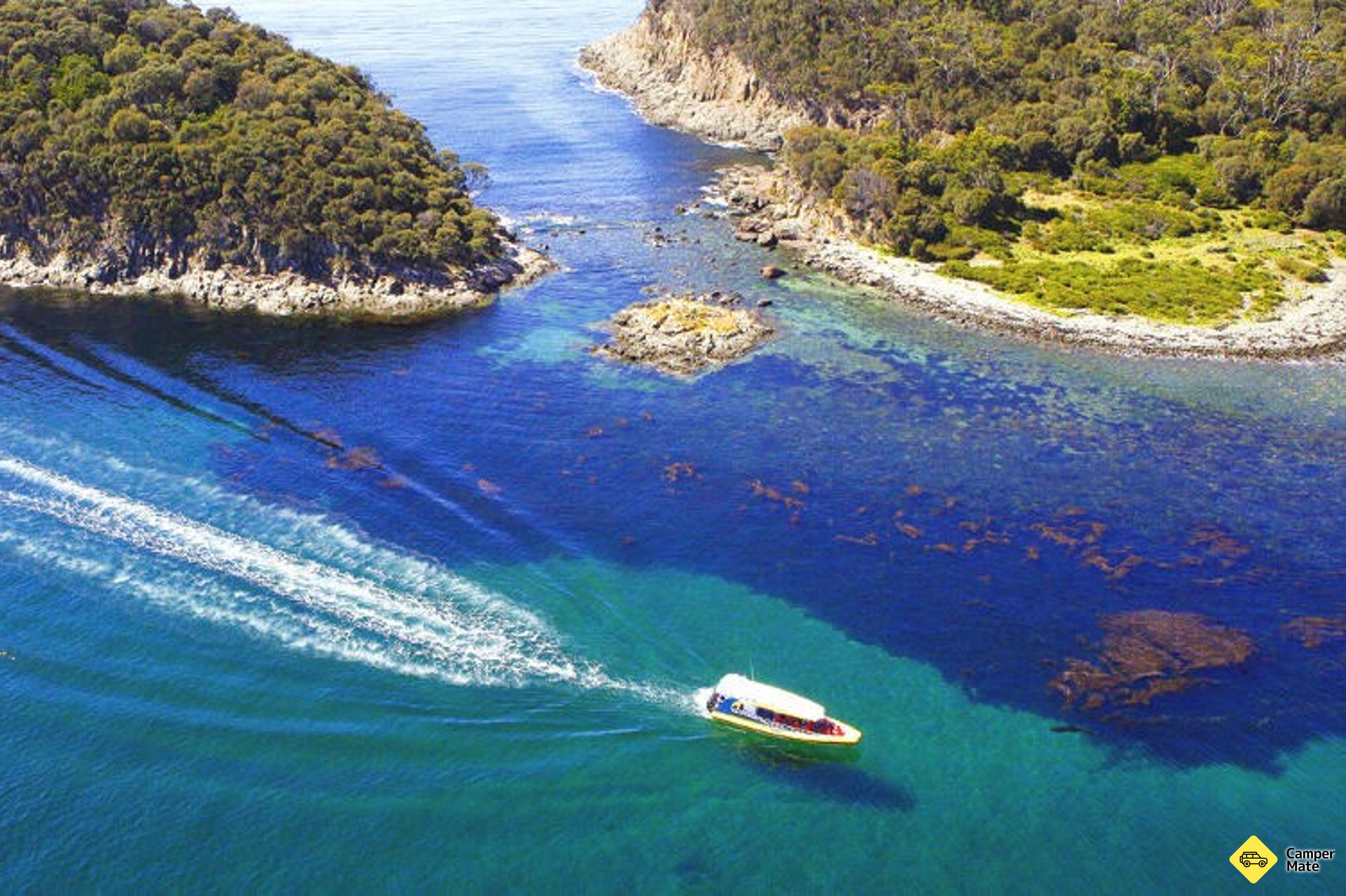 Viaje a Wineglass Bay Scenic Cruise - Image 3