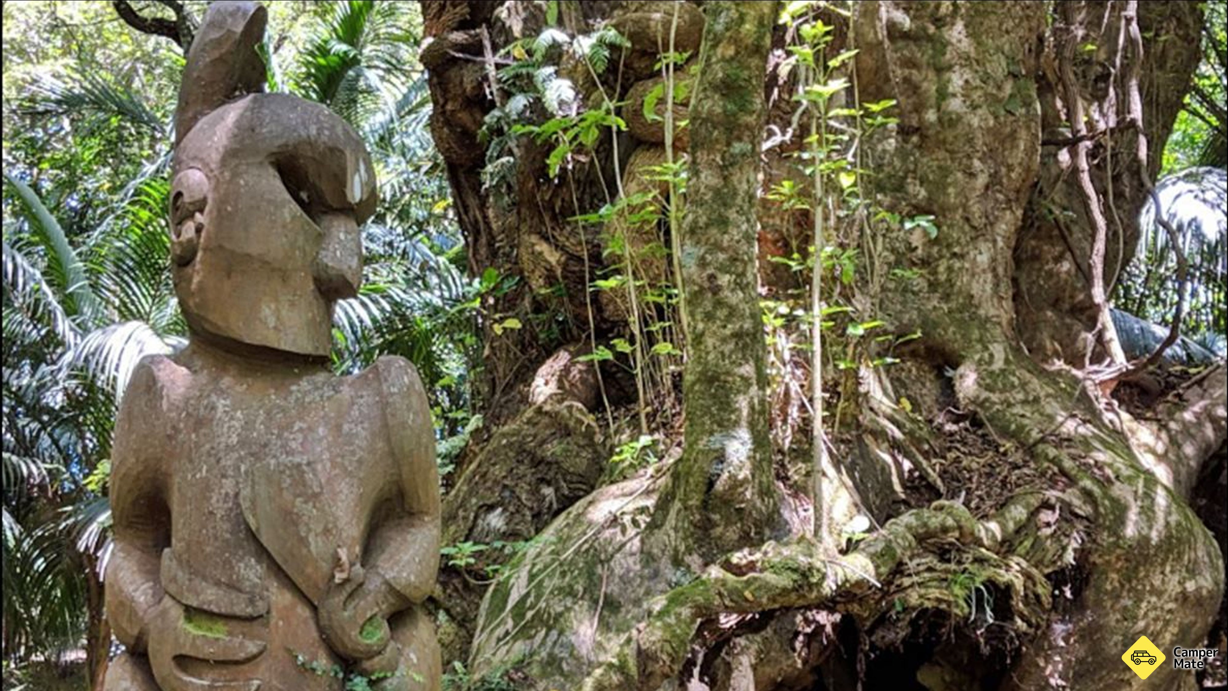 Doména Hukutaia Native Garden