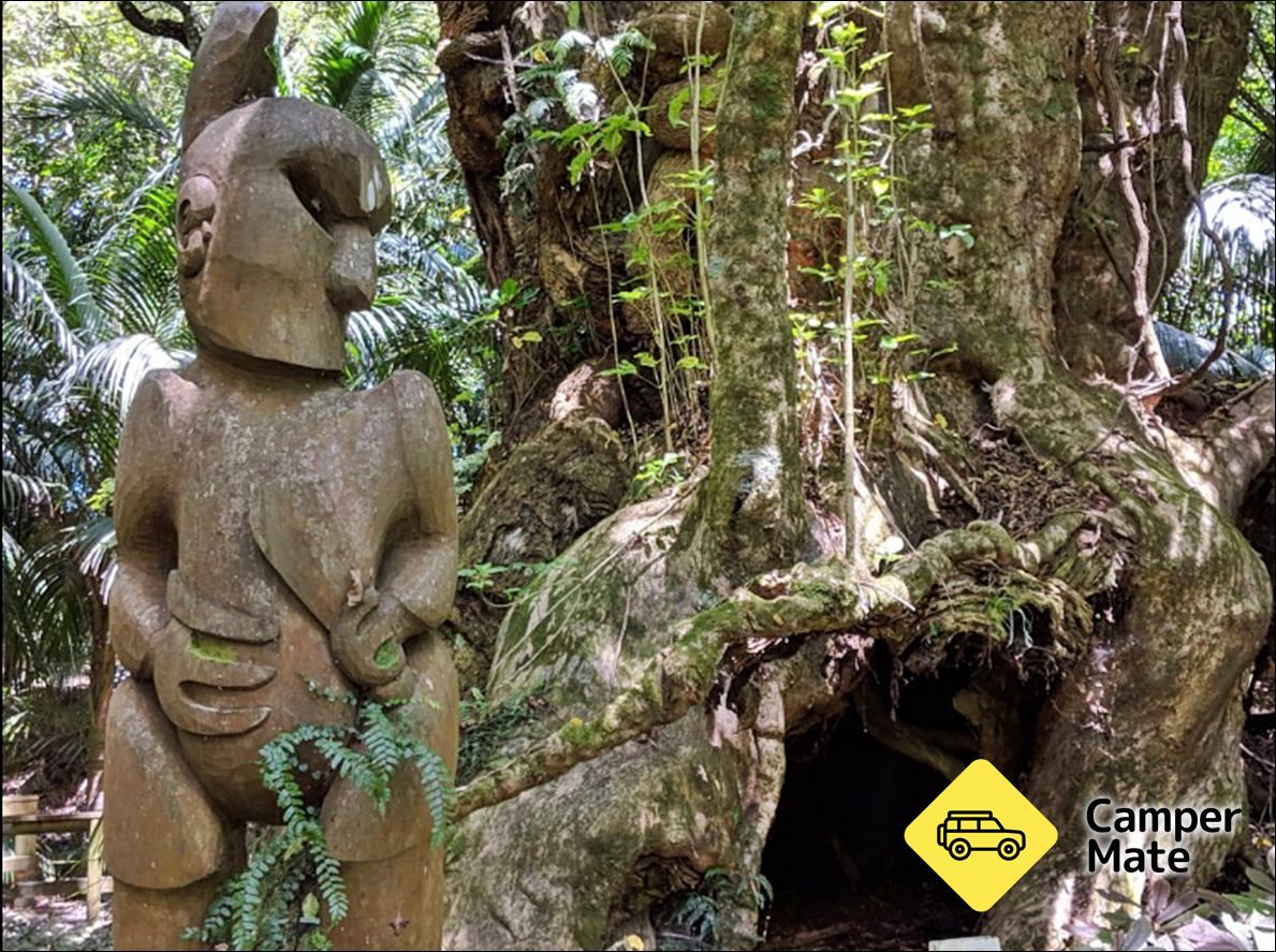 Hukutaia Domain Native Garden