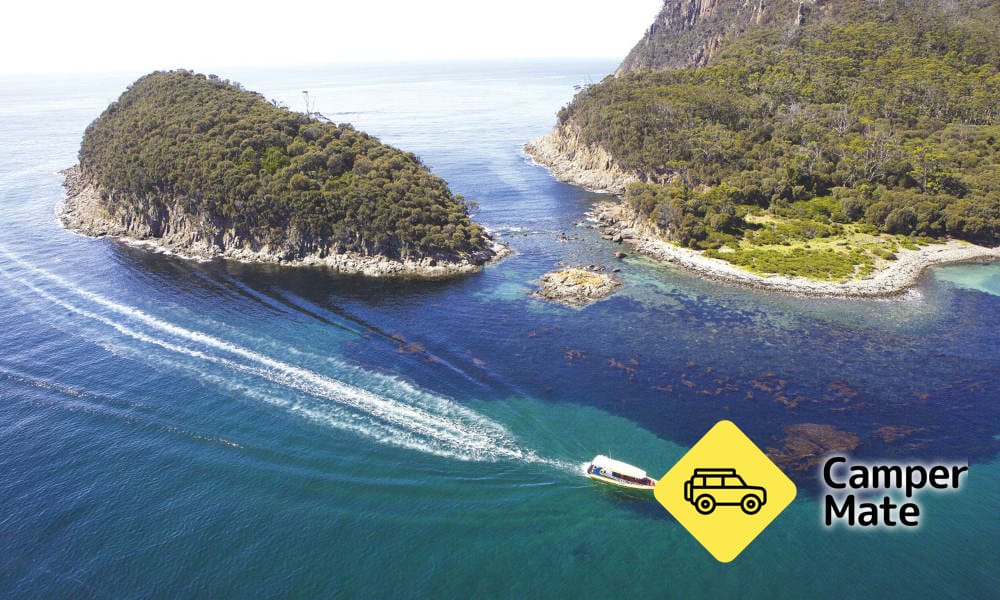 Bruny Island Wilderness Cruise and Bus Transfer from Hobart(ホバート) - Image 2