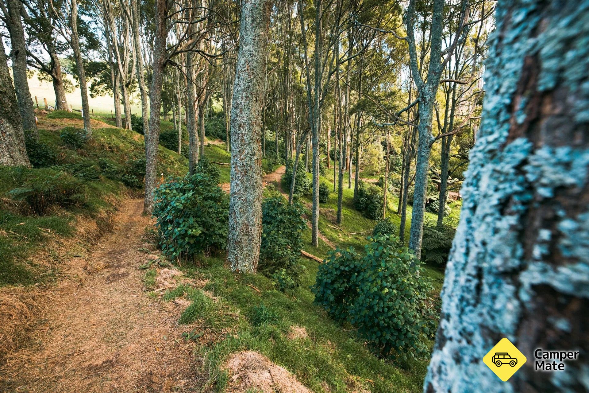 Summerhills Track