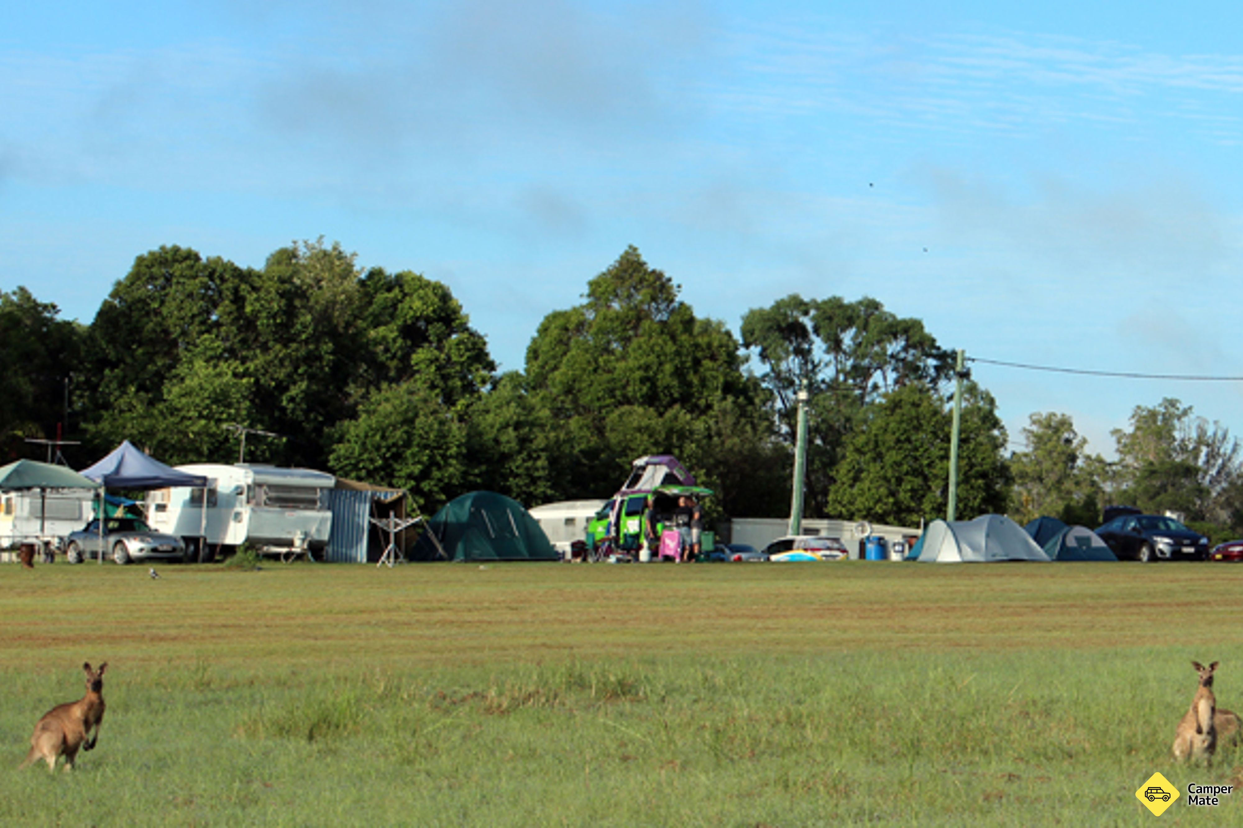 תגיות Toogoolawah Drop Zone