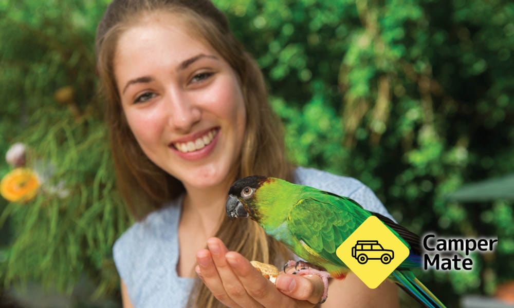 Birdworld Kuranda - Image 2