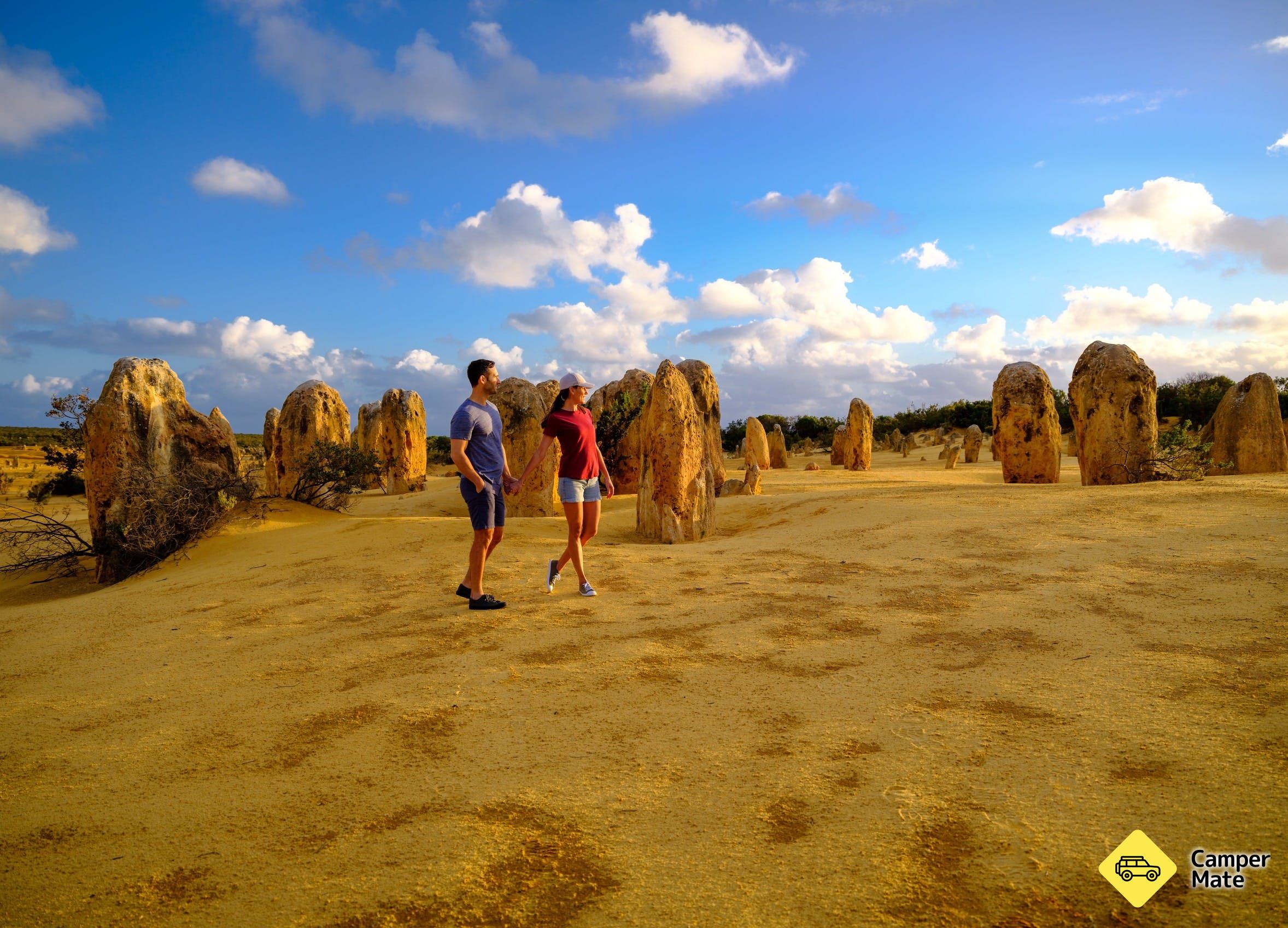 The Pinnacles Desert