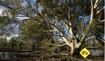 Euroley Bridge Reserve