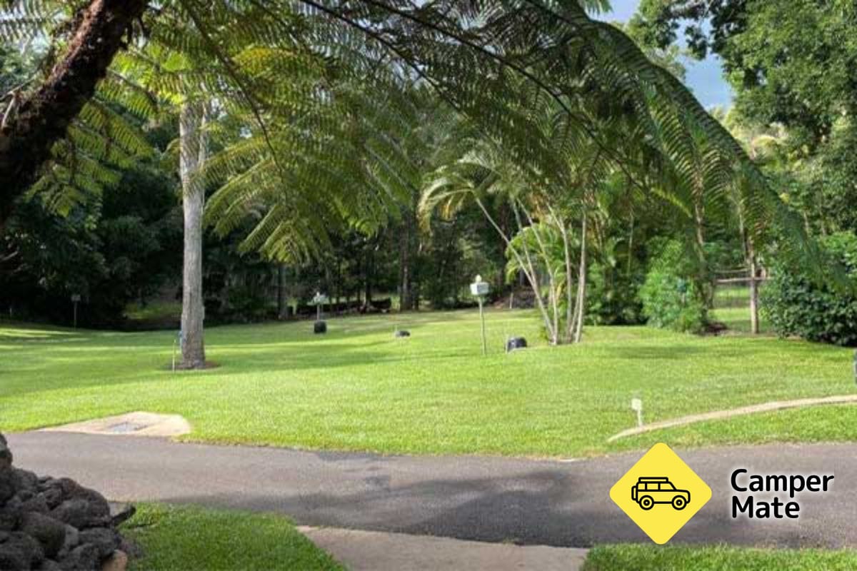 Hotely ve městě Atherton Tablelands Holiday Park - Image 3