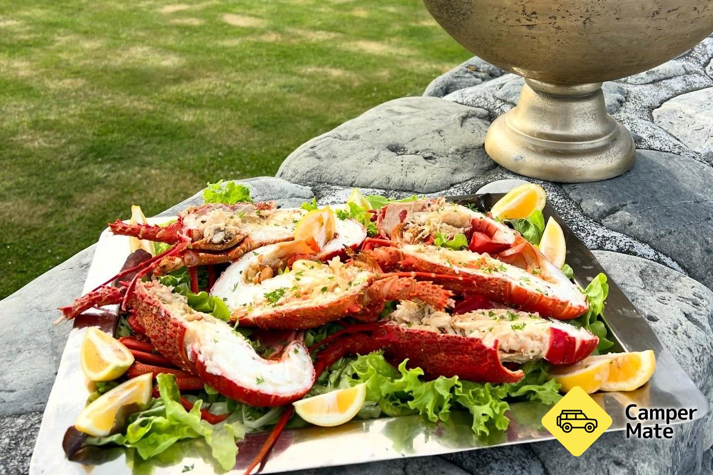 Karaka Lobster - Image 2