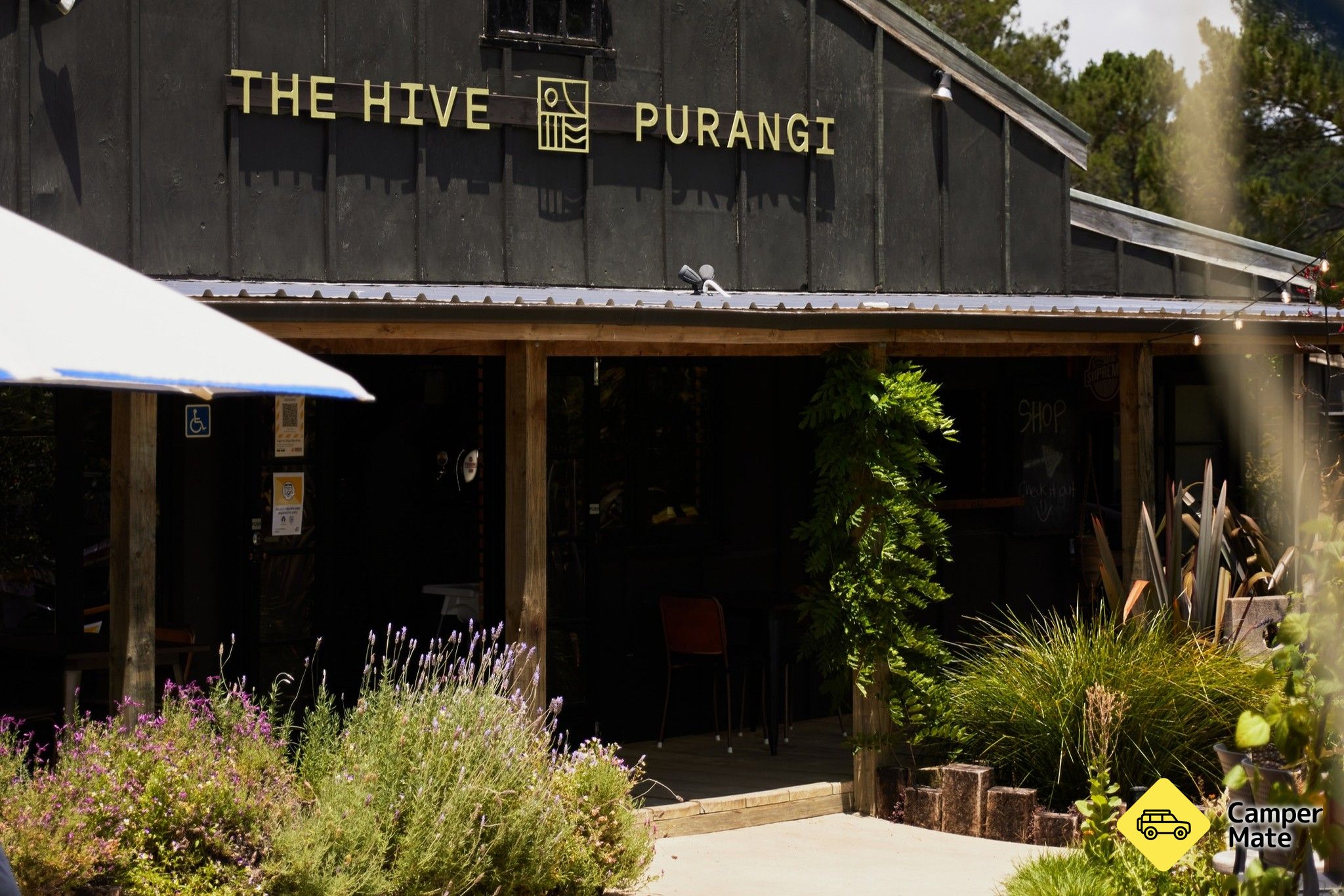 The Hive