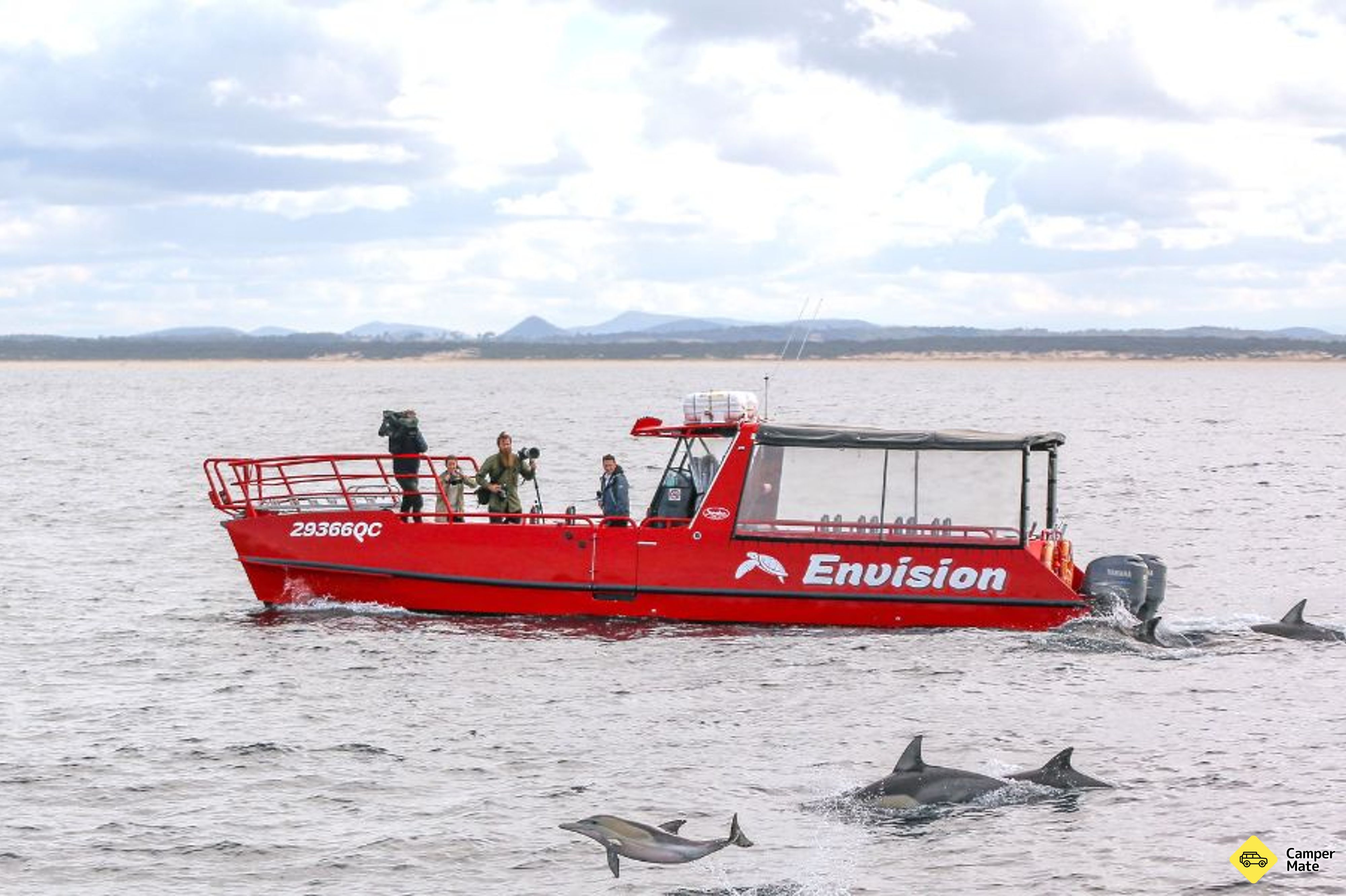 Hotéis em Port Stephens Dolphin Watch Cruise