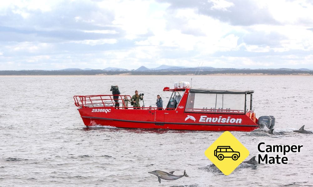 Port Stephens Dolphin Watch Cruise