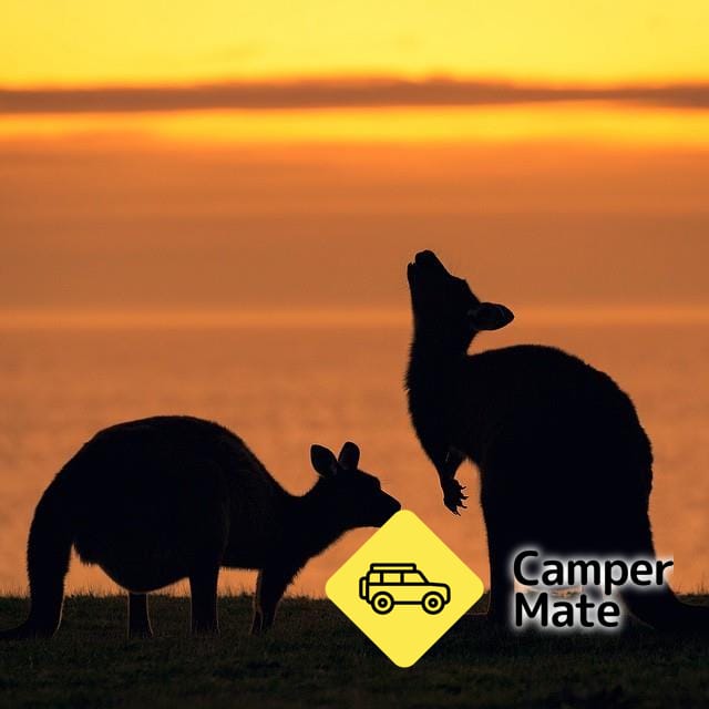 BIG4 Cape Jervis Accommodation & Caravan Park - Image 2
