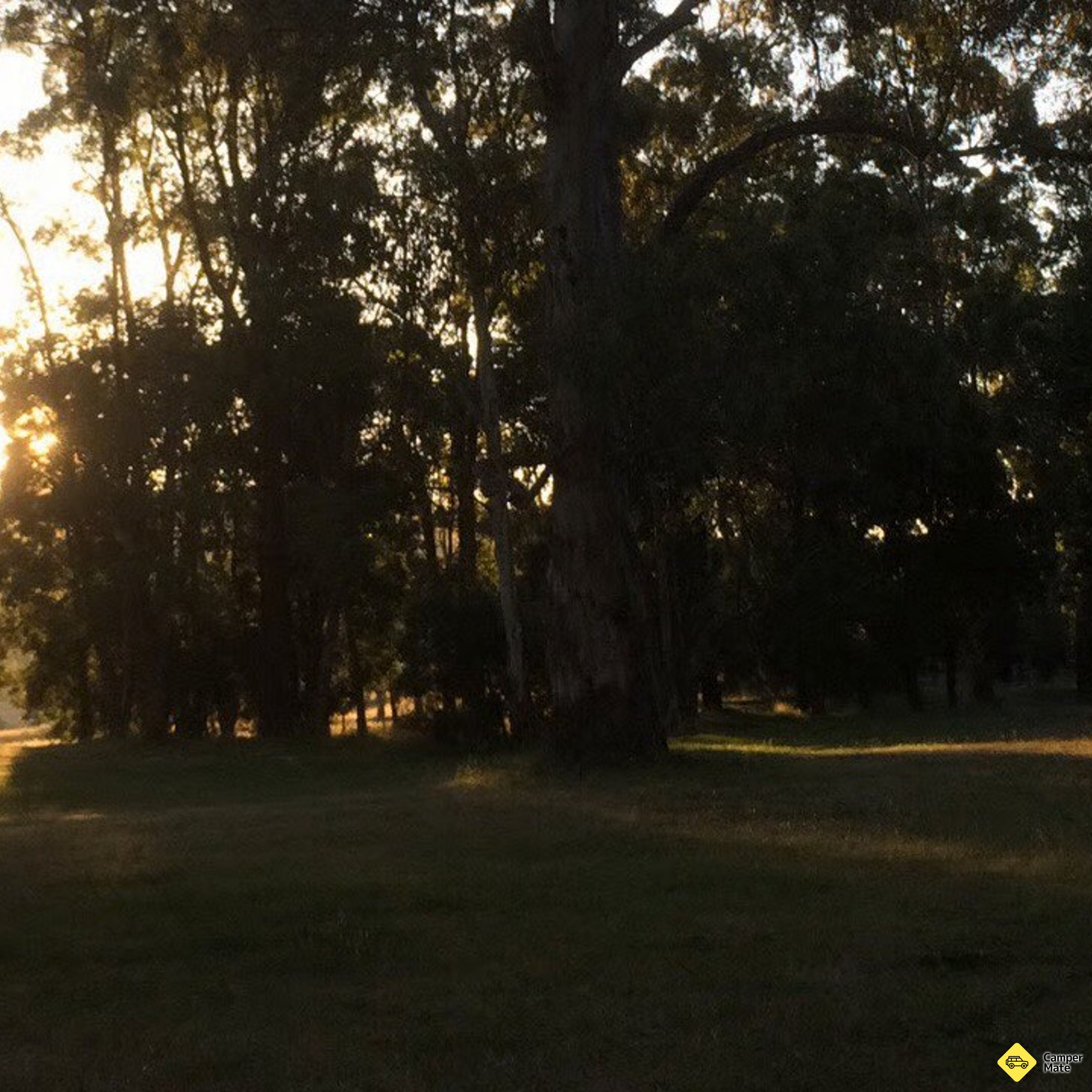 Tolmie Recreation Reserve - Image 2