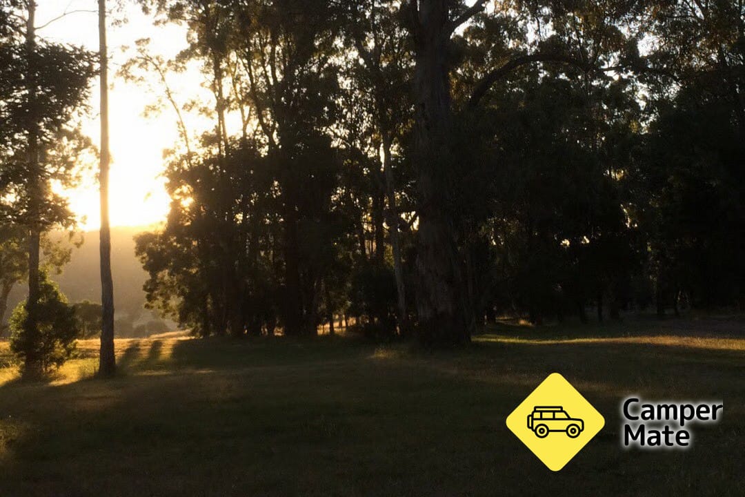 Tolmie Recreation Reserve - Image 2