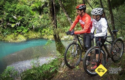 The Pakihi Track