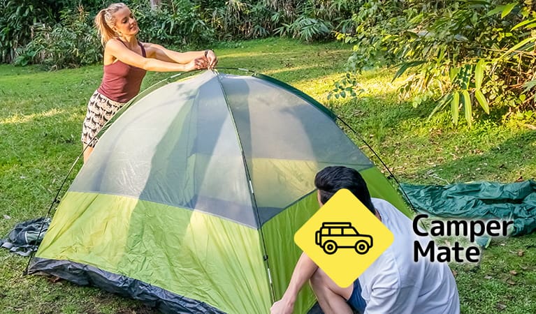 Domowy kemping dla psów
