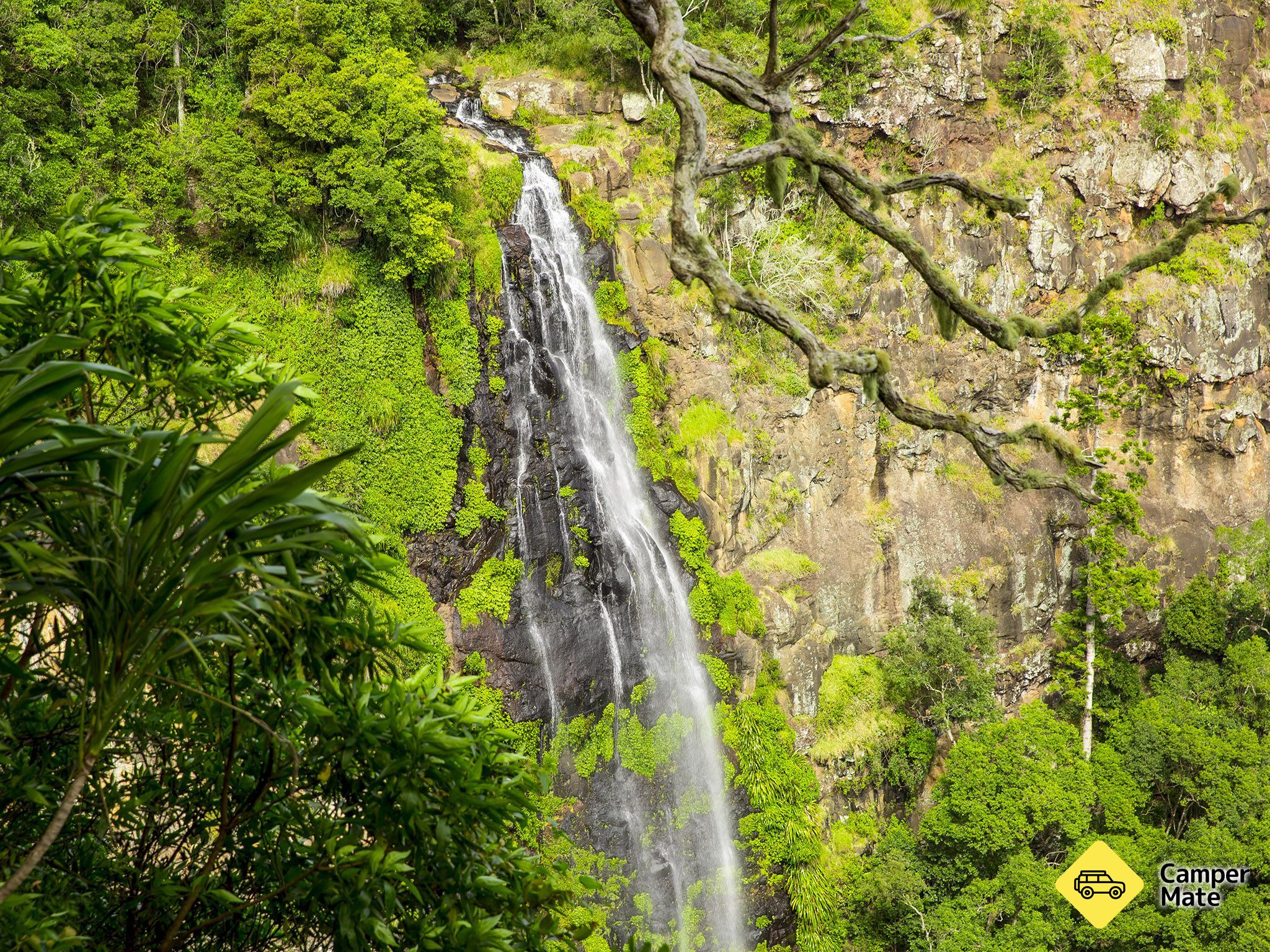 Morans Falls Track - Image 3
