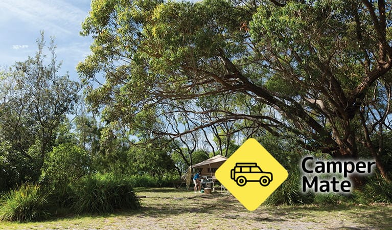 Aragunnu Campground