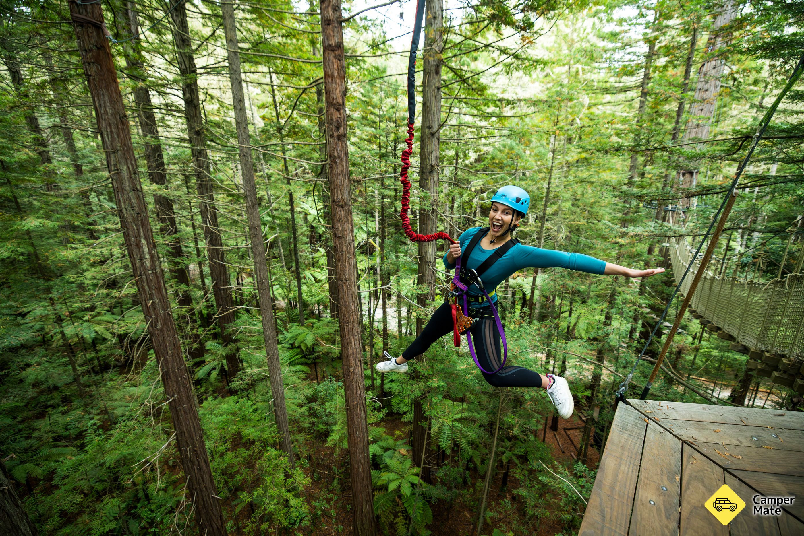 Redwoods Treewalk & Redwoods Altitude - Image 3