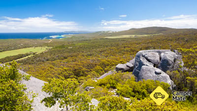 Monkey Rock