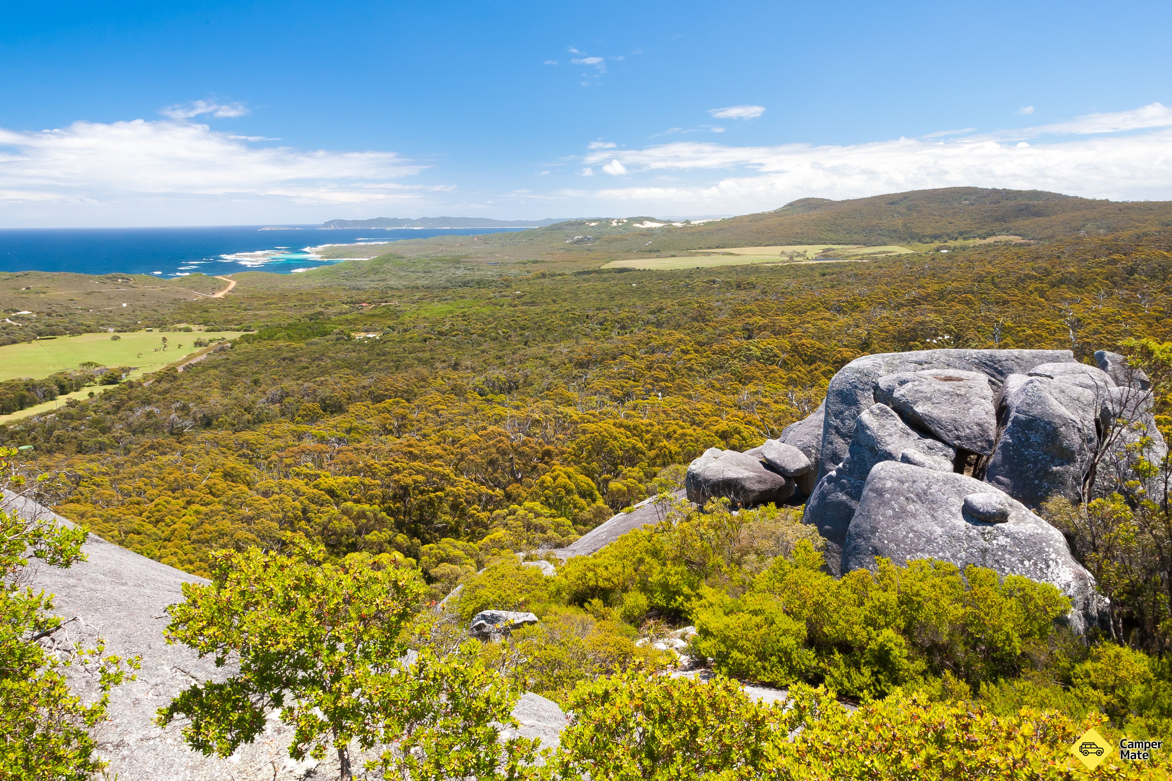Monkey Rock