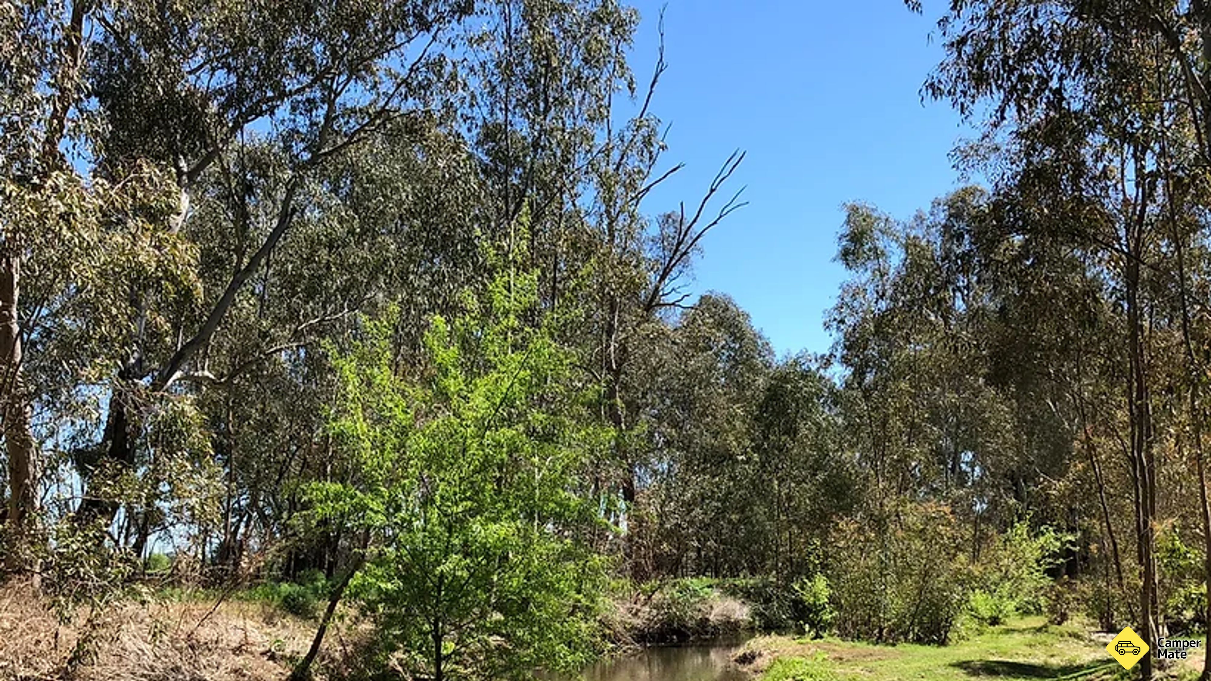 Ardern's Caravan Park