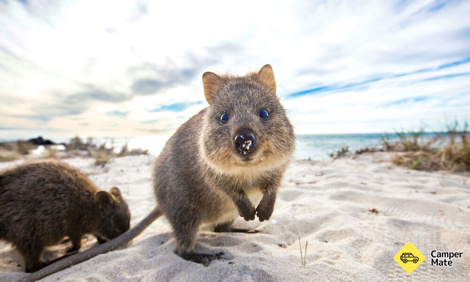 Rottnest Island