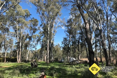 Foresta dello stato di Gunbower