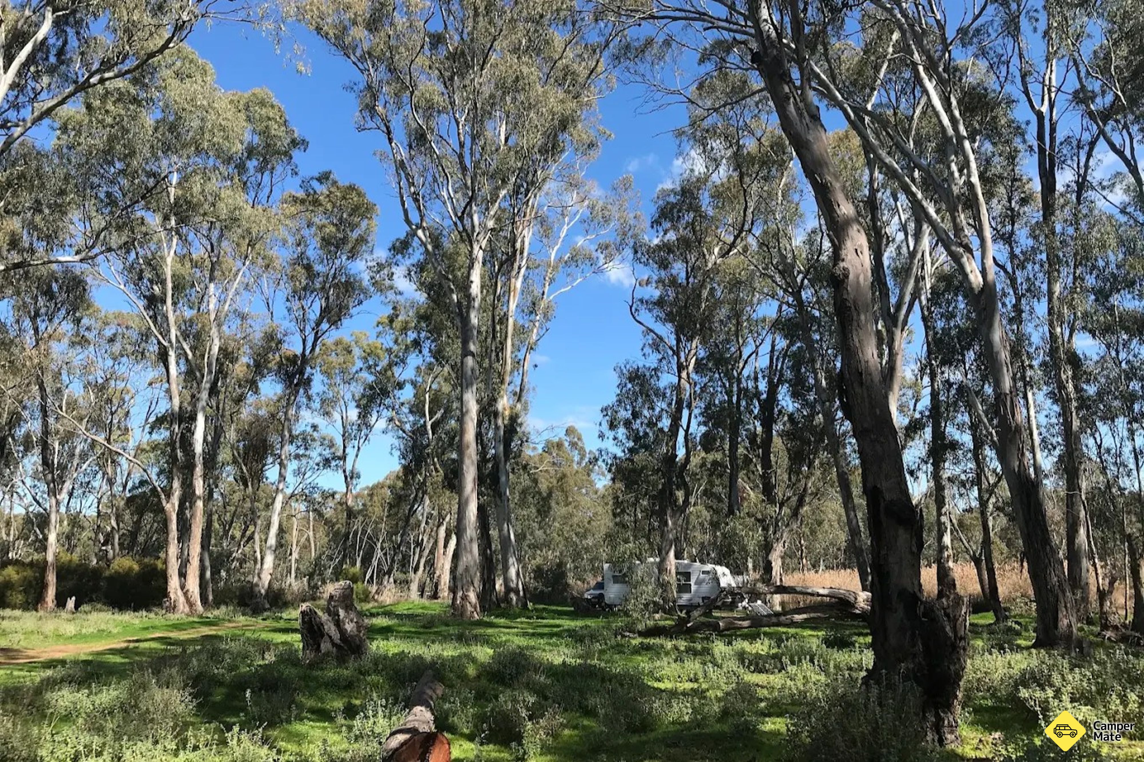 Foresta dello stato di Gunbower