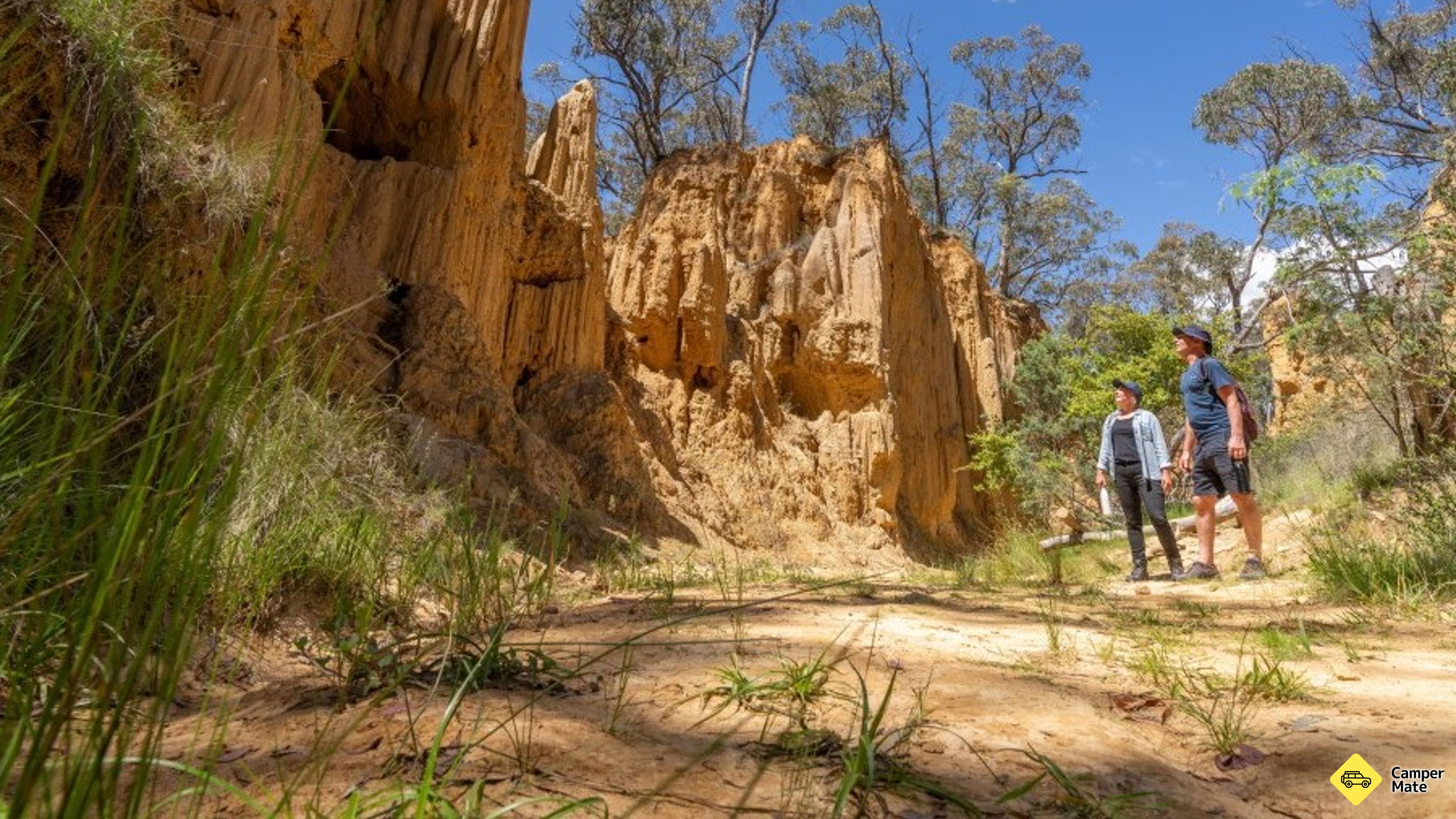 Golden Gully Walking Track