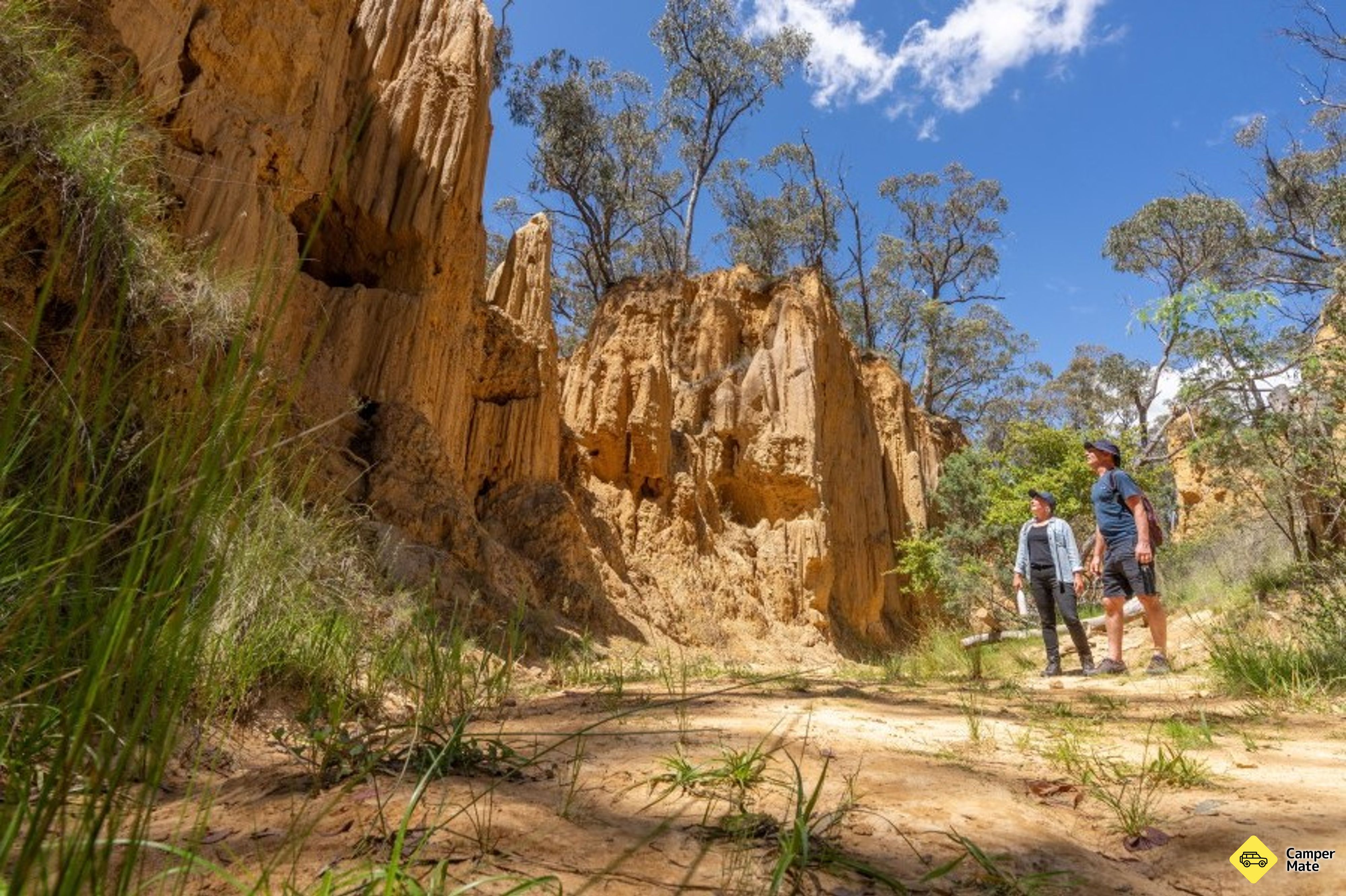 Golden Gully Walking Track