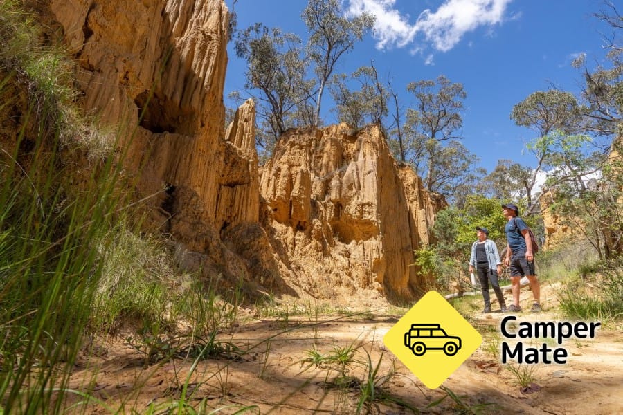 Golden Gully Walking Track