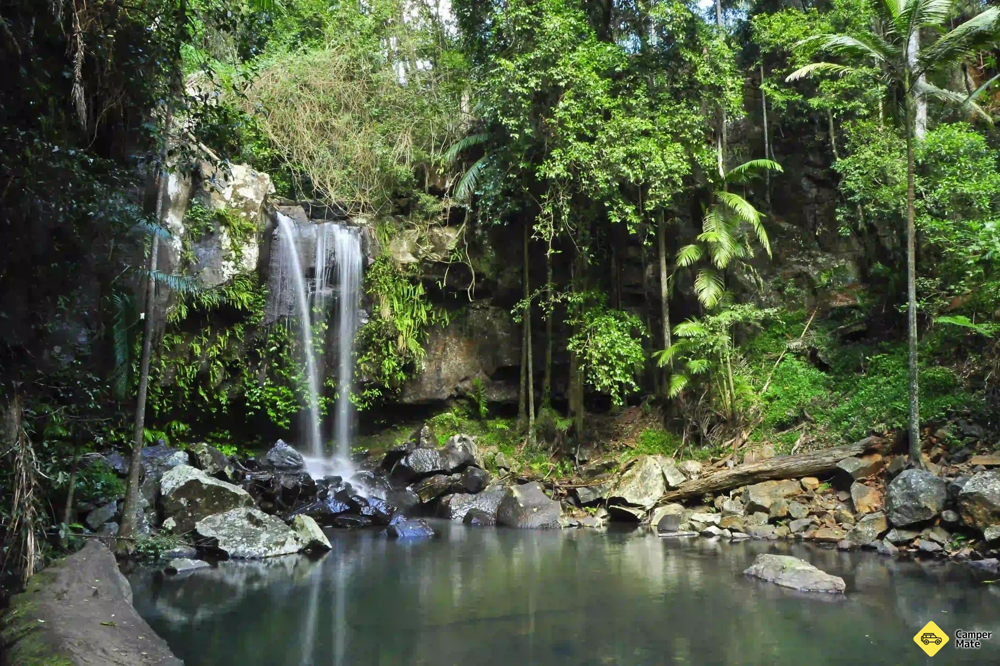 À propos de Southern Cross Gold Coast Tours - Image 3