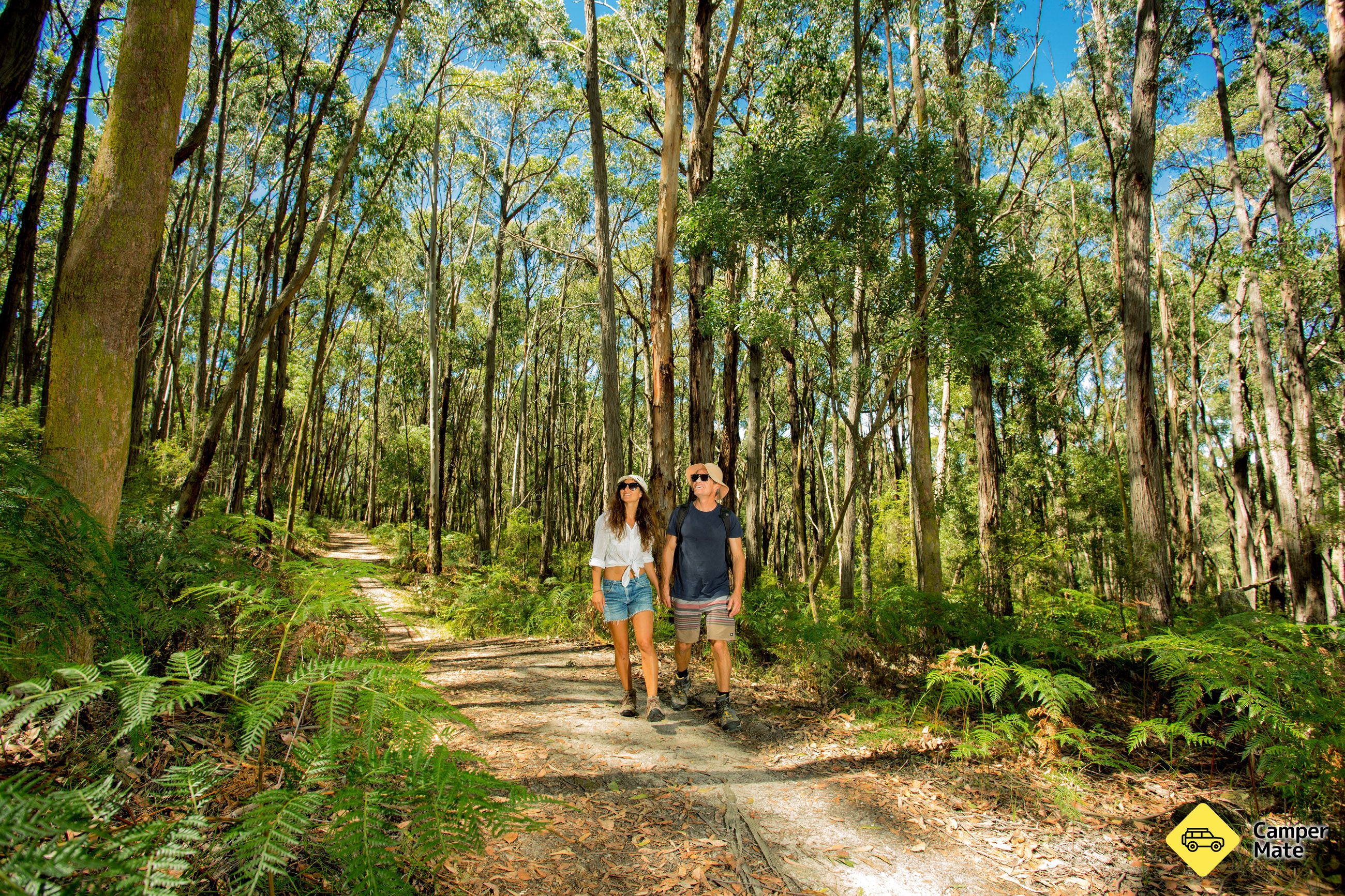 Další podrobnosti o zařízení BIG4 Yarra Valley Park Lane Holiday Park - Image 3