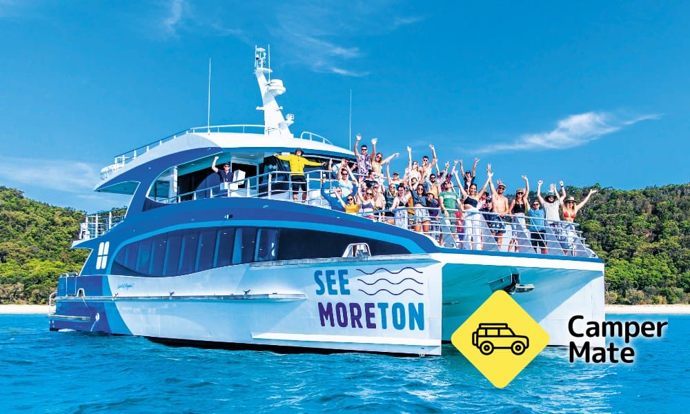 Moreton Island Wildlife and Wreck Snorkell Cruises - Image 2