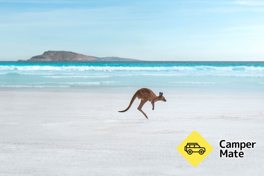 ラッキーベイキャンプ場 Lucky Bay Campground - Image 3
